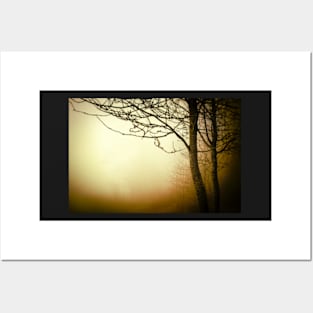 Warm golden fog with trees Posters and Art